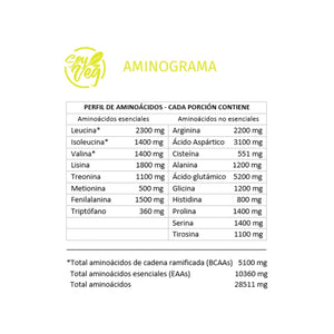 Proteína sin sabor 1 Kg – Recuperación y energía para tu día
